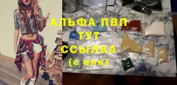 гашик Алексеевка