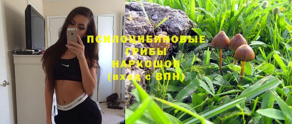 круглые Алексин