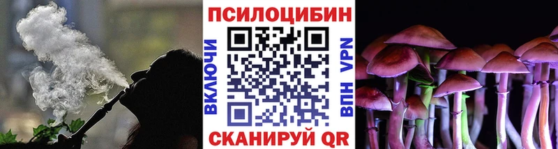 Псилоцибиновые грибы Psilocybe купить наркотик Малоархангельск